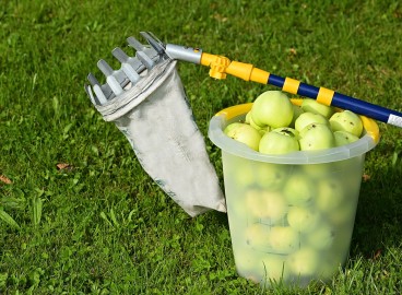 Cueille-pommes à faire soi-même : 5 idées utilisant des objets du quotidien