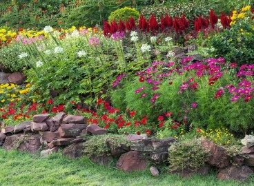 Quelles fleurs planter en automne pour vous apporter de la joie l'année prochaine ?