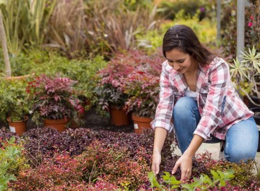 Que planter dans un petit jardin