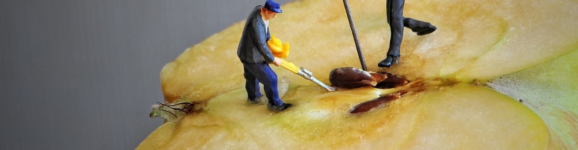 Quels sont les avantages et les dangers des pépins de pomme et que se passe-t-il si on les mange ?