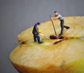 Quels sont les avantages et les dangers des pépins de pomme et que se passe-t-il si on les mange ?