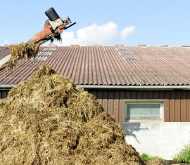 Fertilisation des pommiers à l'automne après la récolte : période, techniques et calendrier de fertilisation