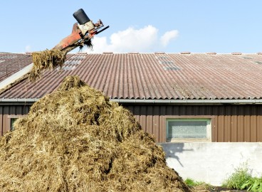 Fertilisation des pommiers à l'automne après la récolte : période, techniques et calendrier de fertilisation