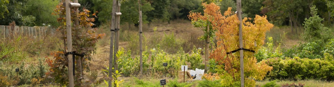 Comment bien planifier un jardin et un potager : une liste de règles importantes