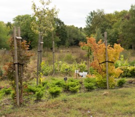 Comment bien planifier un jardin et un potager : une liste de règles importantes