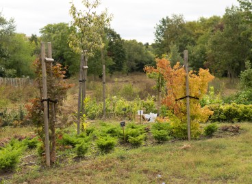 Comment bien planifier un jardin et un potager : une liste de règles importantes
