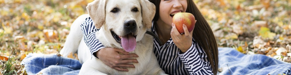 Pourquoi un chien mange-t-il des pommes ?