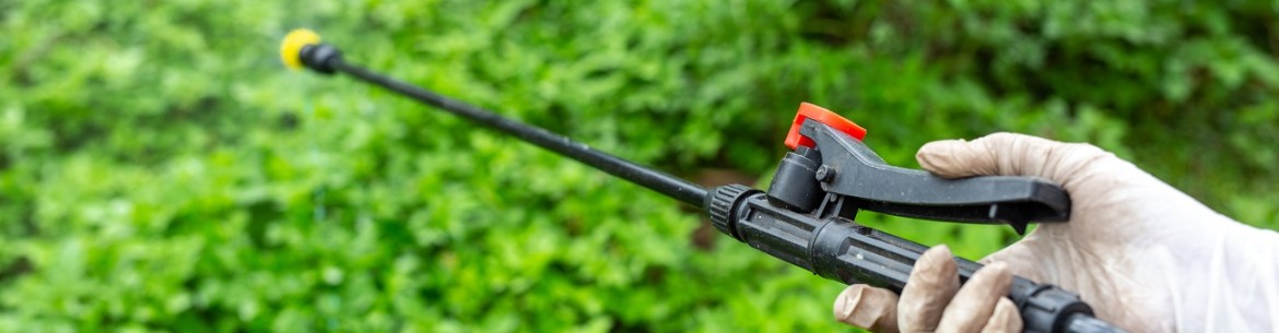 Engrais pour pommiers : mode d'emploi