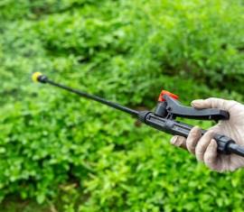 Engrais pour pommiers : mode d'emploi