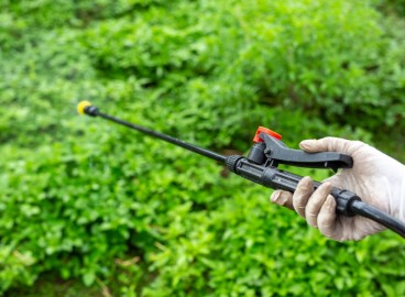 Engrais pour pommiers : mode d'emploi