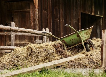 Comment épandre du fumier sur un pommier : fertiliser sans danger ni tracas