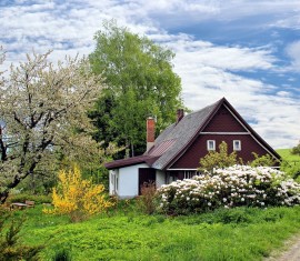 Calendrier lunaire 2020 pour les jardiniers et les maraîchers