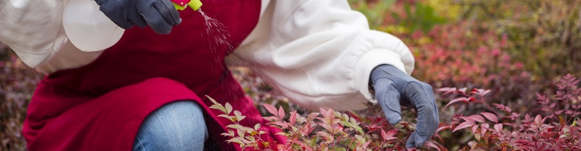 Nitrafen : Règles d'utilisation au jardin et au potager