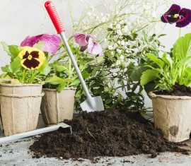 Användning av torv på platsen: fördelaktiga egenskaper och regler