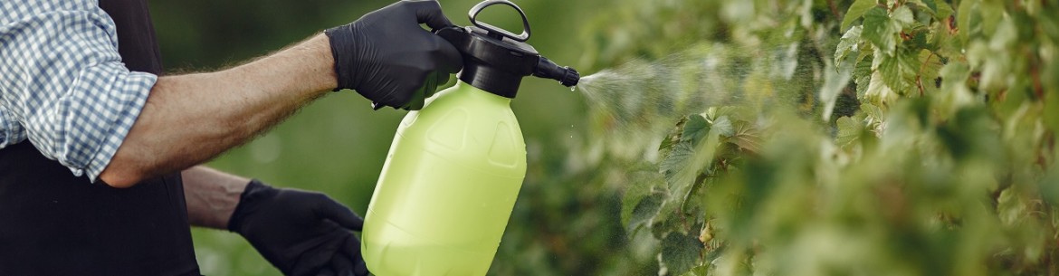 Pourquoi un pommier a-t-il besoin d'acide borique ?