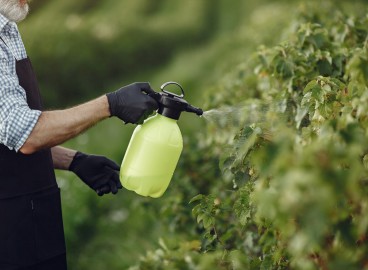 Pourquoi un pommier a-t-il besoin d'acide borique ?