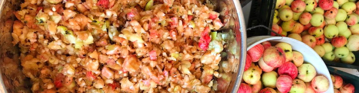 Comment couper rapidement des pommes à la maison pour en extraire le jus