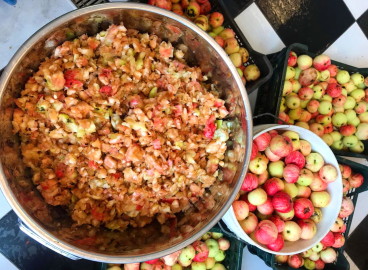 Comment couper rapidement des pommes à la maison pour en extraire le jus