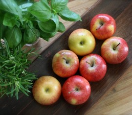 Les pommes pendant l'allaitement
