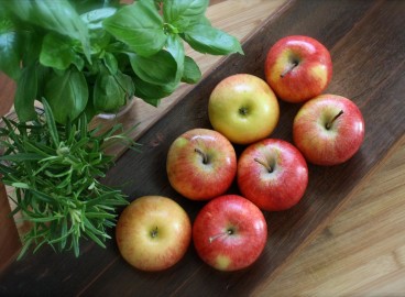 Les pommes pendant l'allaitement