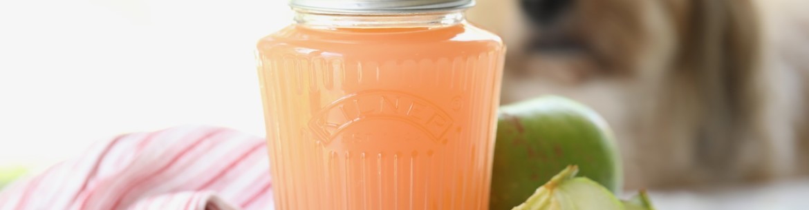 Comment faire de la pectine de pomme maison : recette étape par étape et conseils utiles