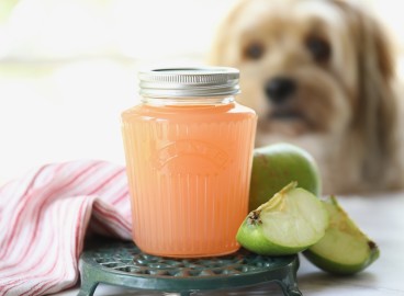Comment faire de la pectine de pomme maison : recette étape par étape et conseils utiles
