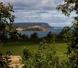 Utilisation de la bouillie bordelaise au jardin : règles pour traiter les jardins contre les champignons au printemps et en automne