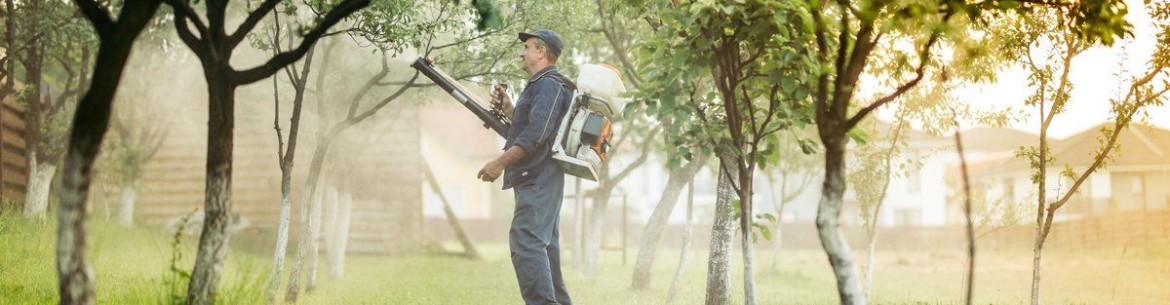 Préparation de la bouillie bordelaise pour pulvérisation : recettes pour des solutions à 1 % et 3 %