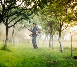 Préparation de la bouillie bordelaise pour pulvérisation : recettes pour des solutions à 1 % et 3 %
