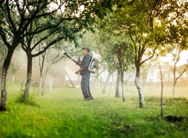 Préparation de la bouillie bordelaise pour pulvérisation : recettes pour des solutions à 1 % et 3 %