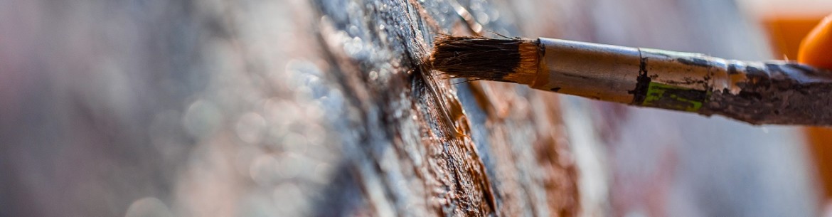 Pourquoi le pommier est-il collant ?