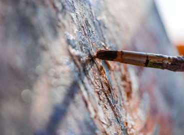 Pourquoi le pommier est-il collant ?