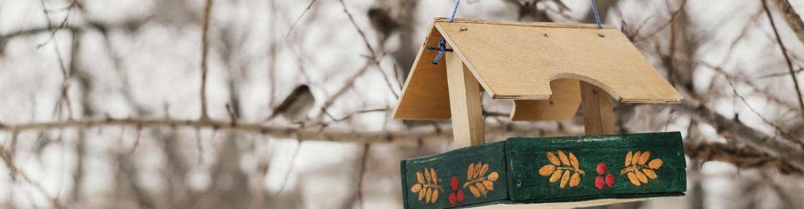 41 idées originales de mangeoires à oiseaux à faire soi-même
