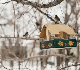 41 idées originales de mangeoires à oiseaux à faire soi-même