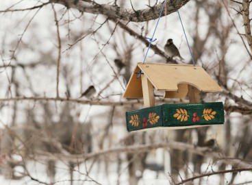 41 idées originales de mangeoires à oiseaux à faire soi-même