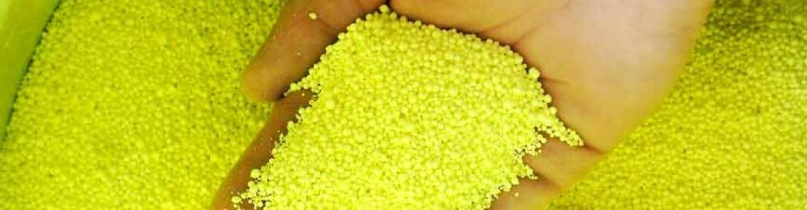 Soufre colloïdal : à quoi il sert et comment l’utiliser au jardin ?