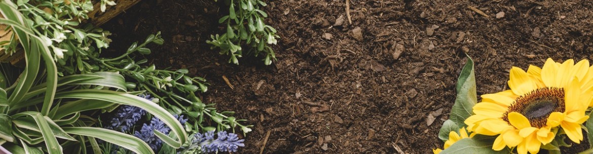 Quel type de sol les fleurs préfèrent-elles ? Comprendre les différents types de sol