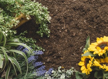 Quel type de sol les fleurs préfèrent-elles ? Comprendre les différents types de sol