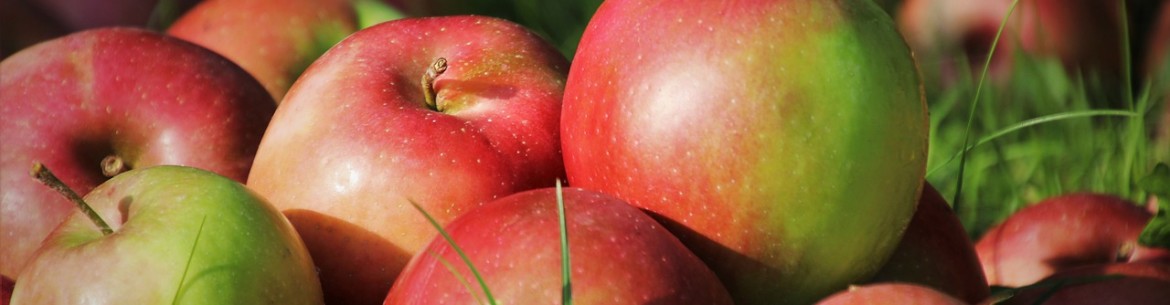 Les pommes pour perdre du poids : peut-on et faut-il en manger pour maigrir ?