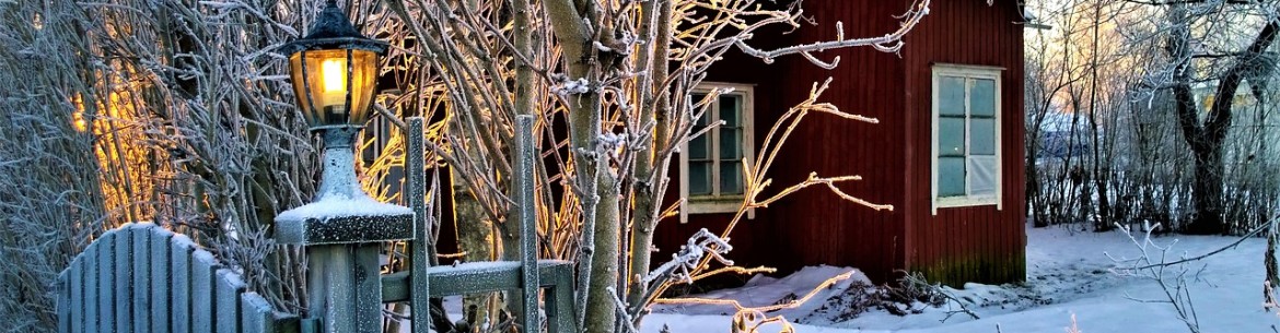 Comment enterrer les jeunes plants pour l'hiver avant de les planter au printemps afin qu'ils ne meurent pas