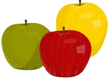 Greffage d'un pommier en automne pour les débutants : période, règles et méthodes