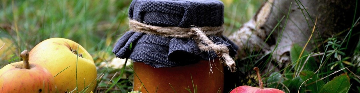 Planter et entretenir des pommiers en automne : la meilleure période, les techniques et les recommandations importantes