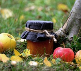 Planter et entretenir des pommiers en automne : la meilleure période, les techniques et les recommandations importantes