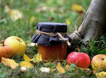 Planter et entretenir des pommiers en automne : la meilleure période, les techniques et les recommandations importantes