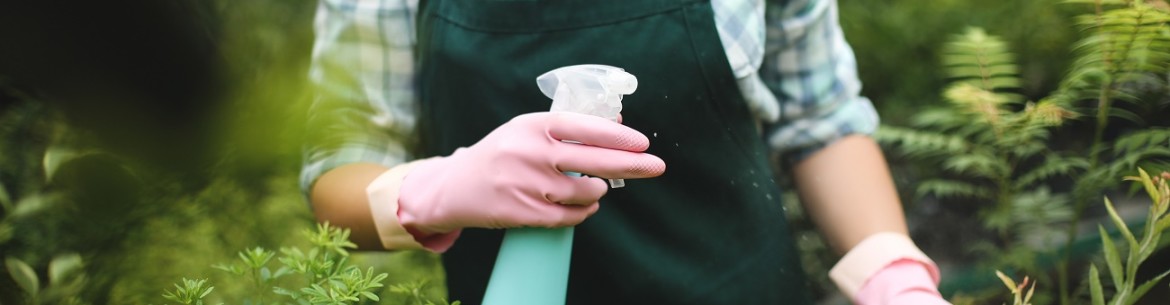 Comment se débarrasser rapidement et efficacement des tiques dans son jardin : les meilleures méthodes