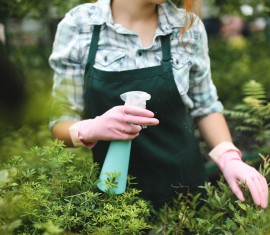 Comment se débarrasser rapidement et efficacement des tiques dans son jardin : les meilleures méthodes
