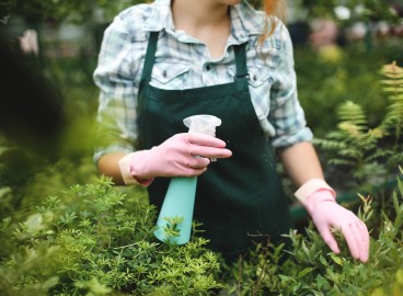 Comment se débarrasser rapidement et efficacement des tiques dans son jardin : les meilleures méthodes