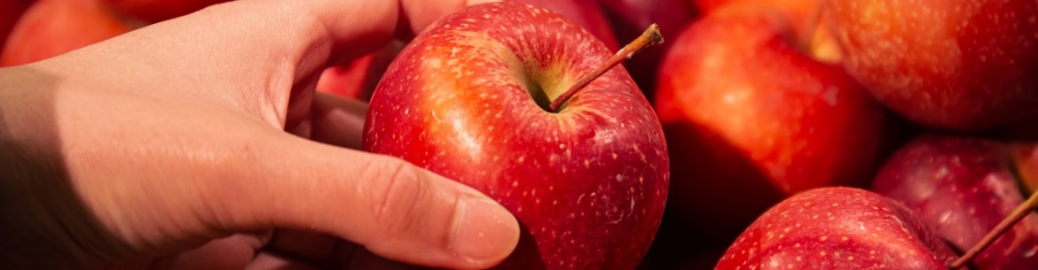 Les 3 variétés de pommes les plus délicieuses de Sibérie