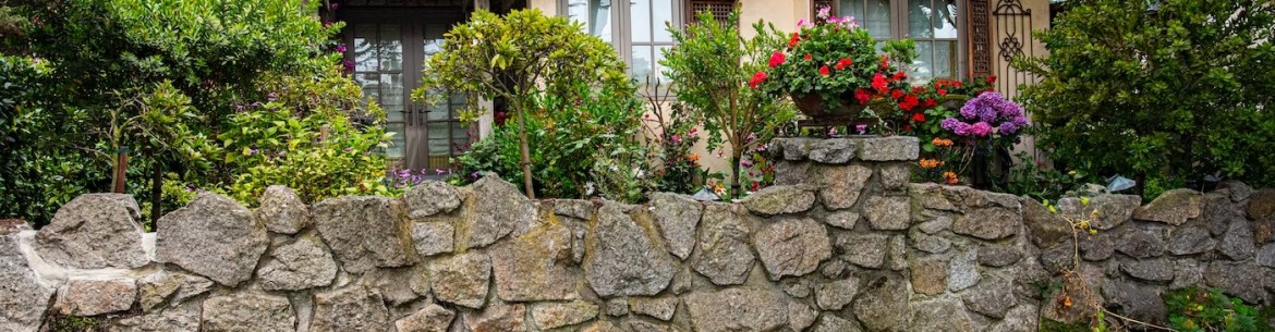 Plantes d'ombre pour le jardin : vivaces et peu exigeantes