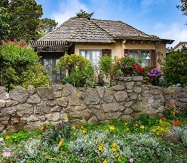 Plantes d'ombre pour le jardin : vivaces et peu exigeantes